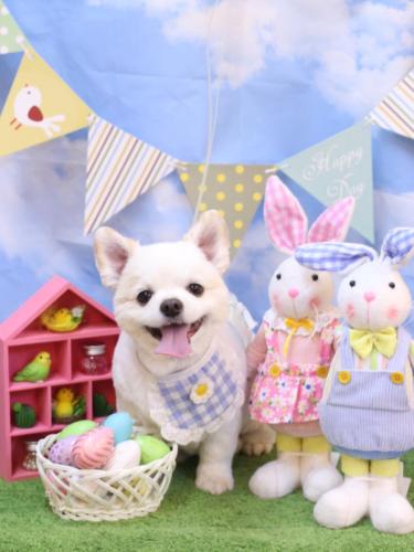 20240319ポポくん